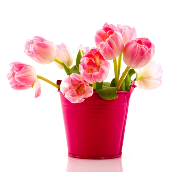 Rode en roze tulpen — Stockfoto