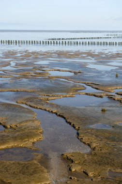 Mudflat