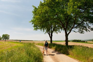 Dutch landscape with walking man clipart