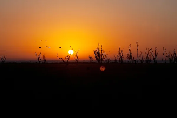 Австралийский закат — стоковое фото