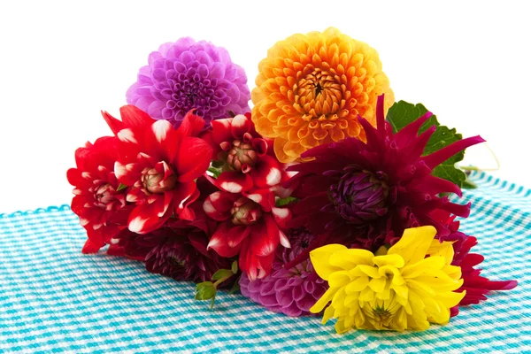 Kwiaty z Dalii — Zdjęcie stockowe