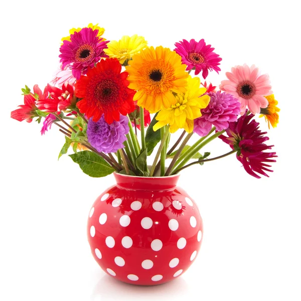 Dahlia and Gerber flowers — Stock Photo, Image