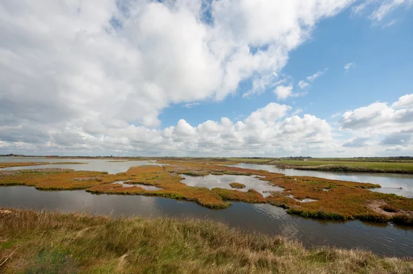 Dutch landscape behind the dike — Stock Photo, Image