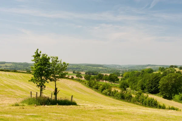 Зеленый пейзаж с холмами — стоковое фото