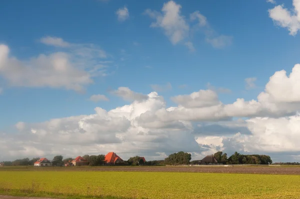Typische Nederlandse landbouw landschap — Stockfoto
