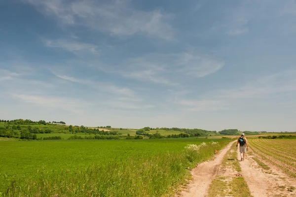 Holländska landskap med walking man — Stockfoto