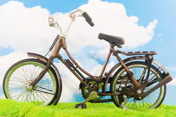 Старая женщина велосипед — стоковое фото