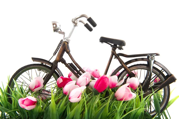 Stock image Old female bike