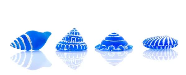 Blue shells — Stock Photo, Image