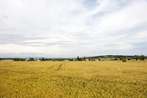 Landbouw landschap in Franse bourgogne — Stockfoto