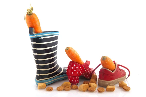 Морква та взуття Sinterklaas — стокове фото