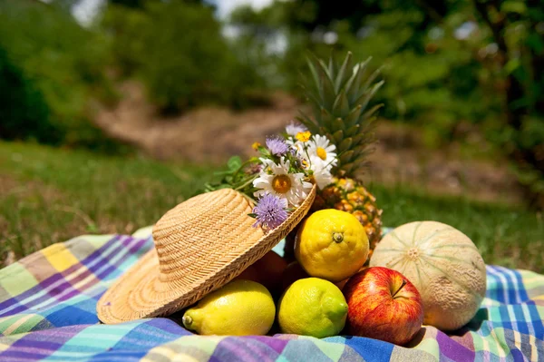 Stilleven met zomer fruit — Stockfoto