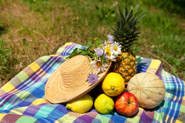 여름 과일을 가진 정물화 — 스톡 사진