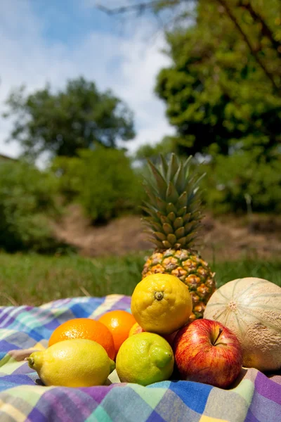 Zátiší s letním ovocem — Stock fotografie