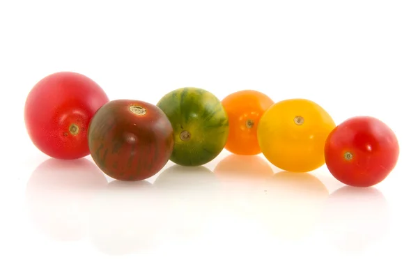 Дикие красочные помидоры — стоковое фото