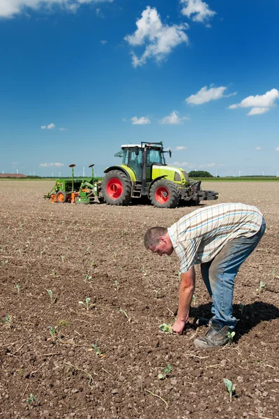 Agricultor que trabalha nos campos — Fotografia de Stock
