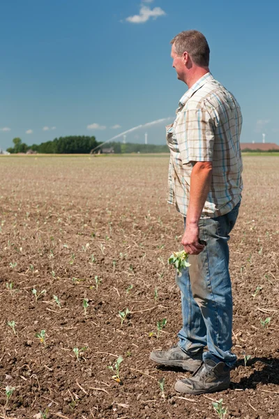 Landwirt bei der Feldarbeit — Stockfoto