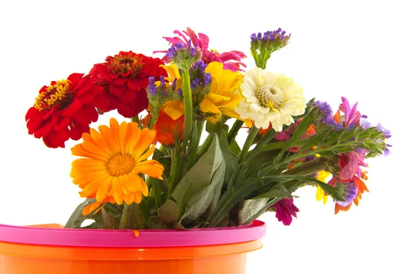 Barevné kytice v kbelíku — Stock fotografie