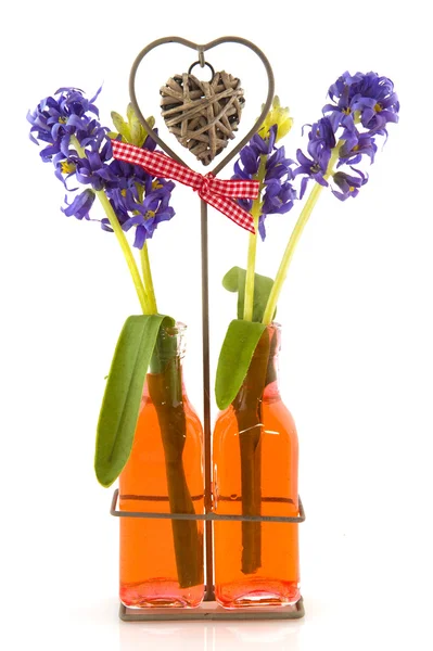 Hyacinths — Stock Photo, Image
