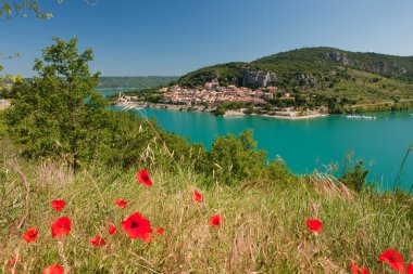 Poppies at the Saint Croix lake clipart