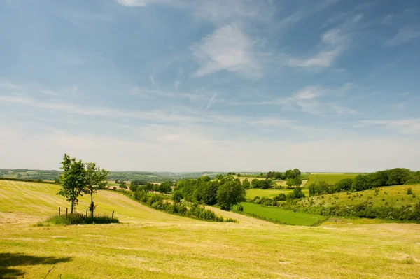Зеленый пейзаж с холмами — стоковое фото