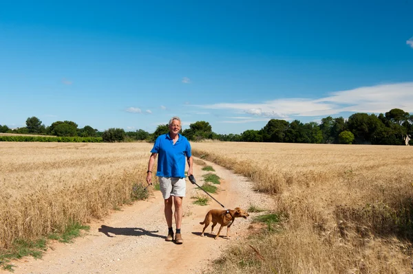 Idős ember a gyalogos a kutya — Stock Fotó
