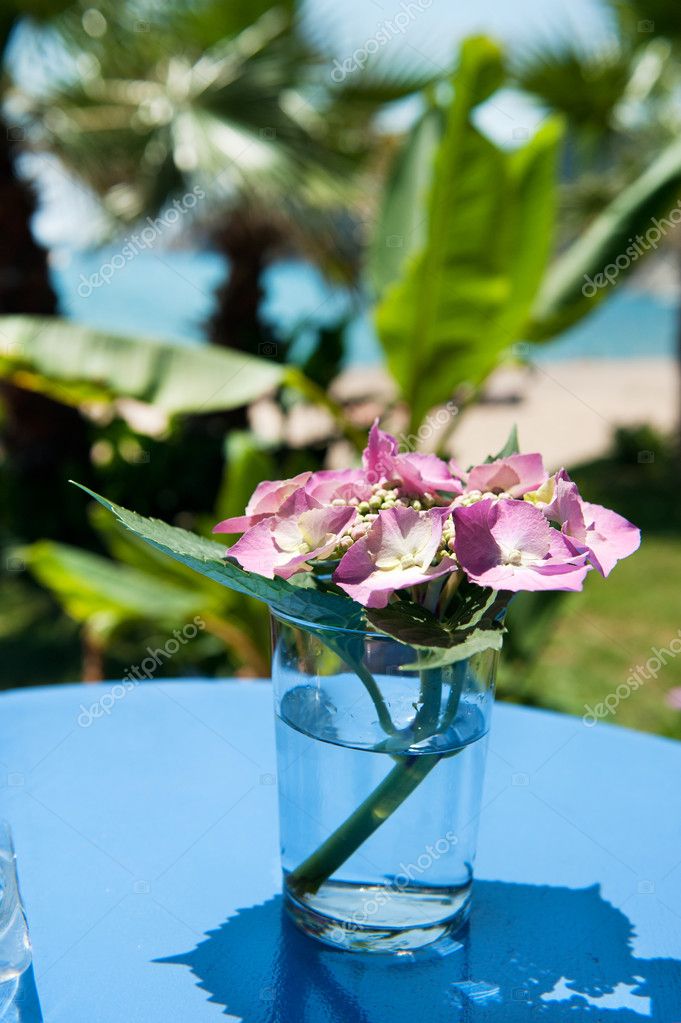 Hydrangea flowers in vase — Stock Photo © ivonnewierink #4125097