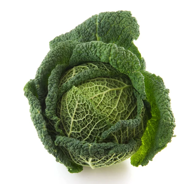 Πράσινο λάχανο — Stock fotografie