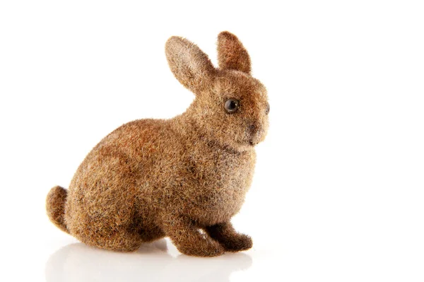 イースターのウサギ — ストック写真