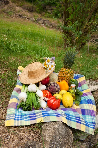 果物や野菜 — ストック写真