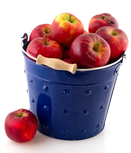 Bucket red apples — Stock Photo, Image