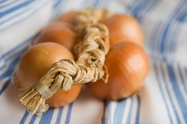Cord onions — Stock Photo, Image