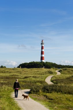 Walking near the lighthouse clipart