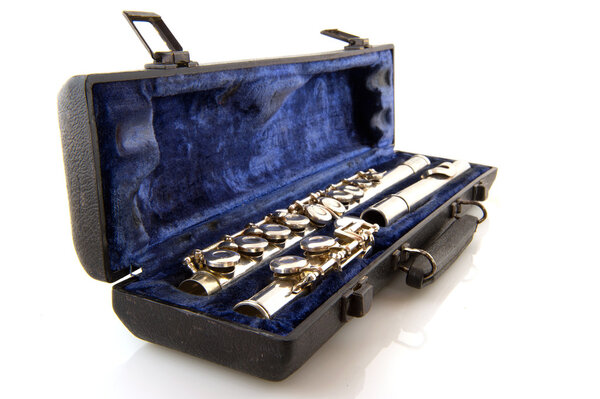 Black case with flute