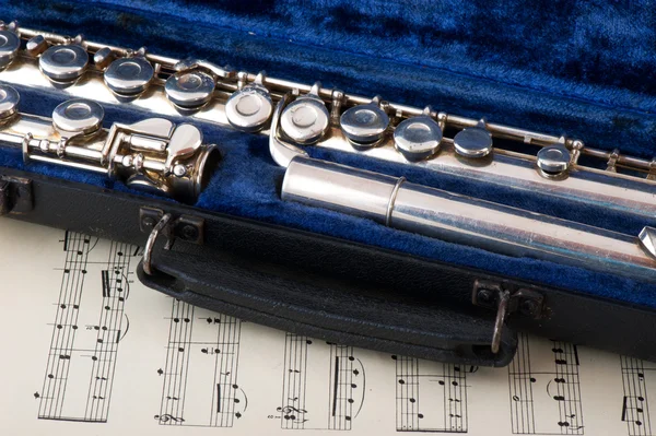 Черный чехол с флейтой — стоковое фото