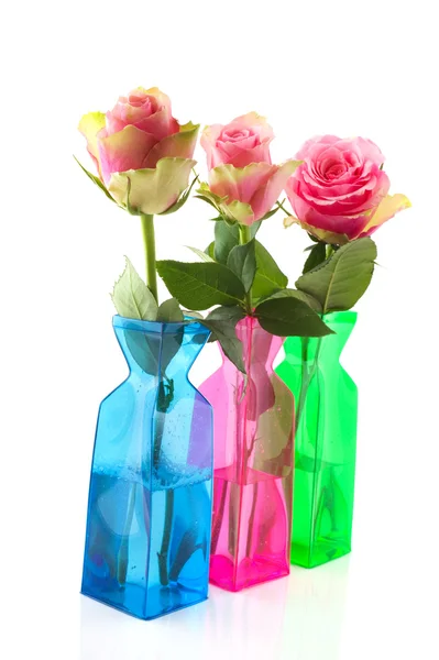 Rosa rosor i färgglada vaser — Stockfoto