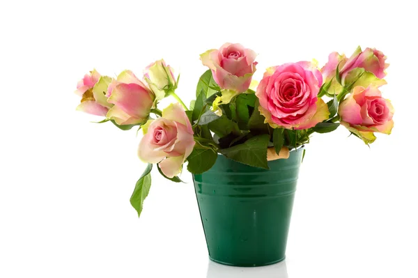 Rosa rosas em balde verde — Fotografia de Stock