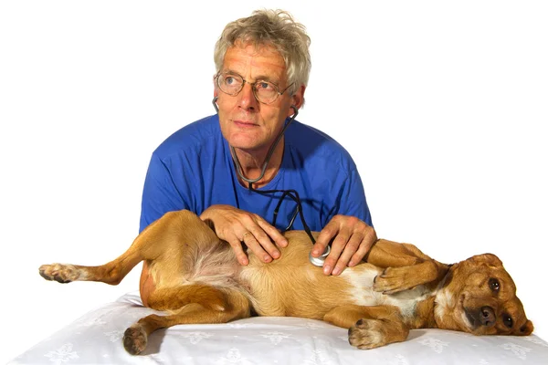 Tierärztin mit Hund — Stockfoto
