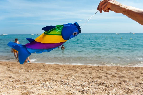 Вітряна риба на пляжі — стокове фото