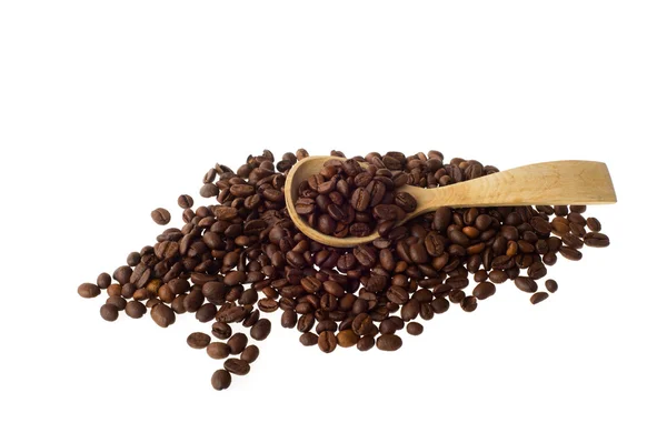 신선한 커피 콩 — 스톡 사진