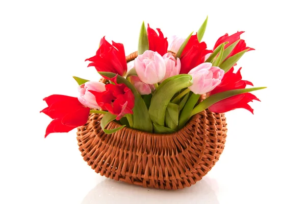 Злий Кошик Тростини Повний Змішаних Весняних Тюльпанів — стокове фото