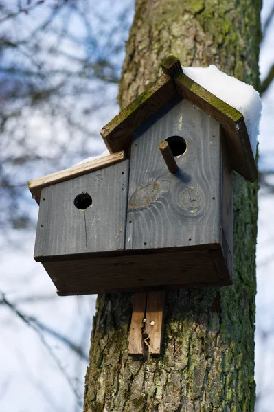 雪の鳥の家 — ストック写真