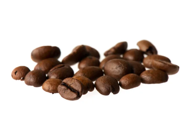 신선한 커피 콩 — 스톡 사진
