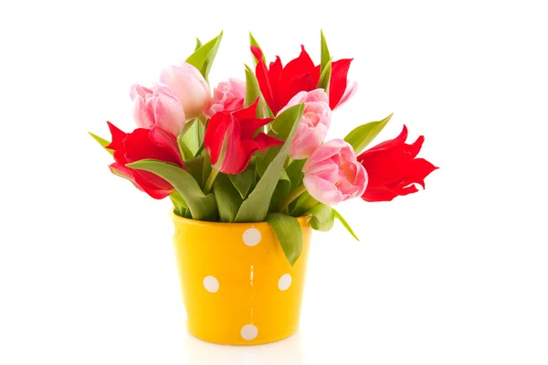 Kleurrijke Pasen Tulpen Roze Rood Met Gele Pot — Stockfoto