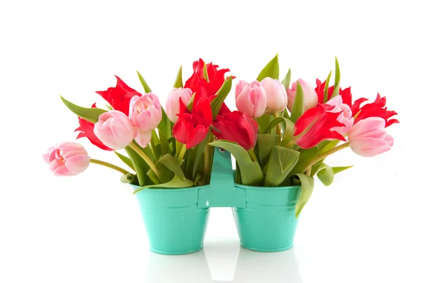 Рожеві та червоні тюльпани — стокове фото