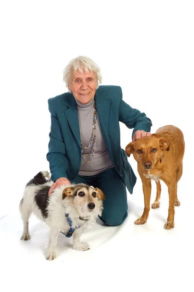 Old Aged Woman Two Dogs Studio — Stock Photo, Image