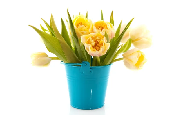 White bouquet tulips — Stock Photo, Image