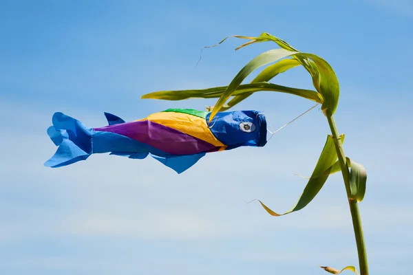 Vissen in de wind — Stockfoto
