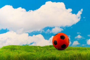 Dutch soccer with orange ball in the green fields clipart