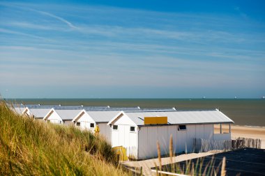 Row white beach houses at the Dutch coast clipart